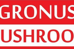 logo-01